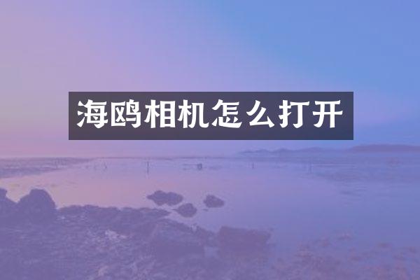 海鸥相机怎么打开