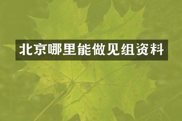 北京哪里能做见组资料