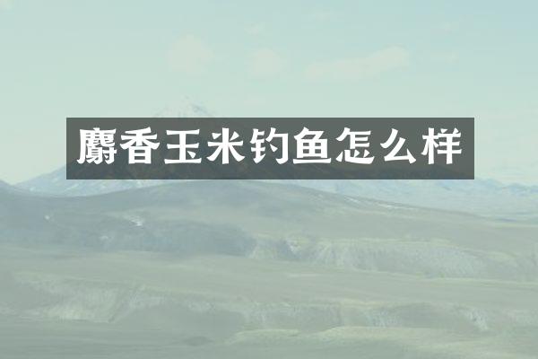 麝香玉米钓鱼怎么样