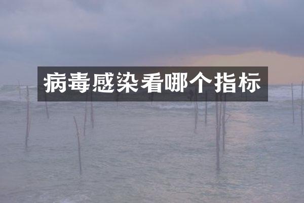 病毒感染看哪个指标