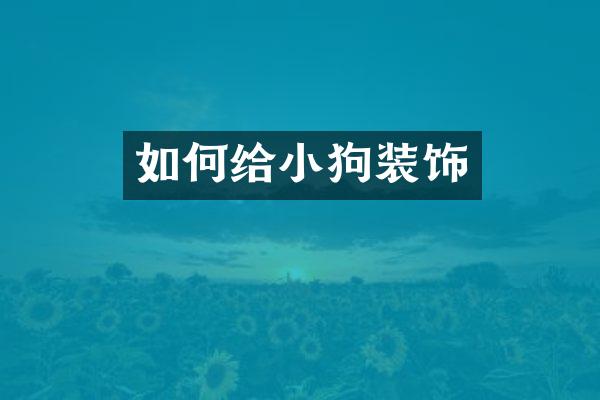 如何给小狗装饰
