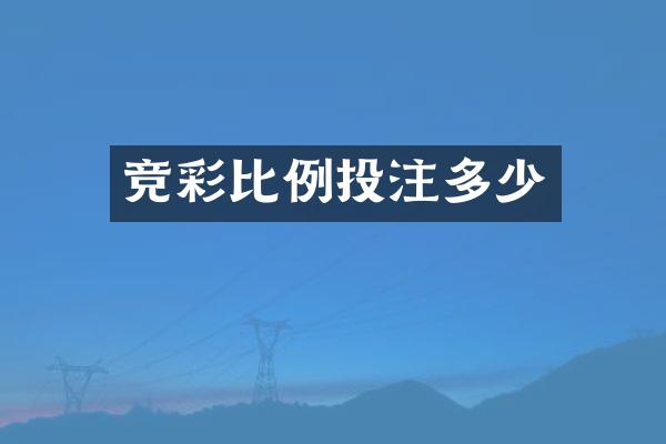 竞彩比例投注多少