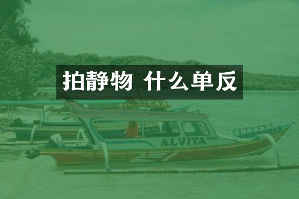 拍静物 什么单反