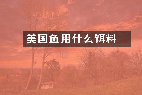 美国鮰鱼用什么饵料