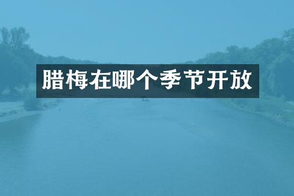 腊梅在哪个季节开放