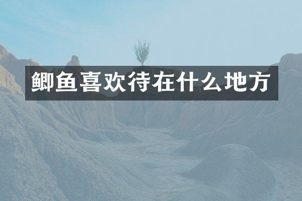 鲫鱼喜欢待在什么地方