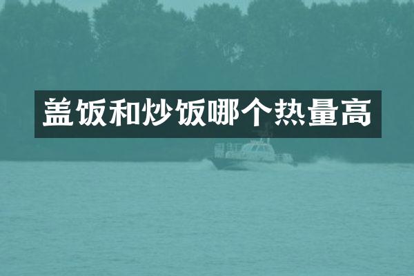 盖饭和炒饭哪个热量高
