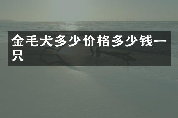金毛犬多少价格多少钱一只