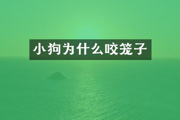 小狗为什么咬笼子