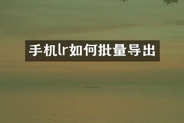 手机lr如何批量导出