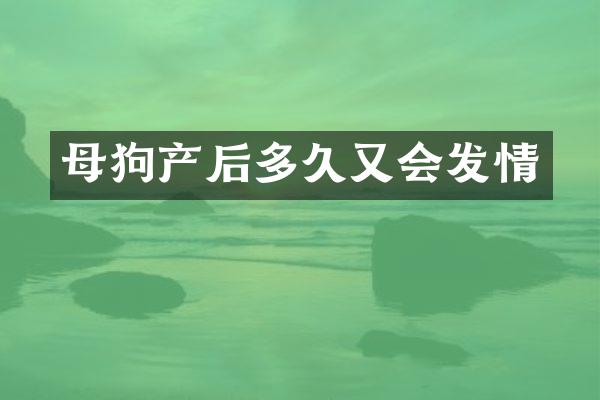 母狗产后多久又会发情