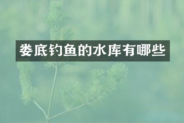 娄底钓鱼的水库有哪些