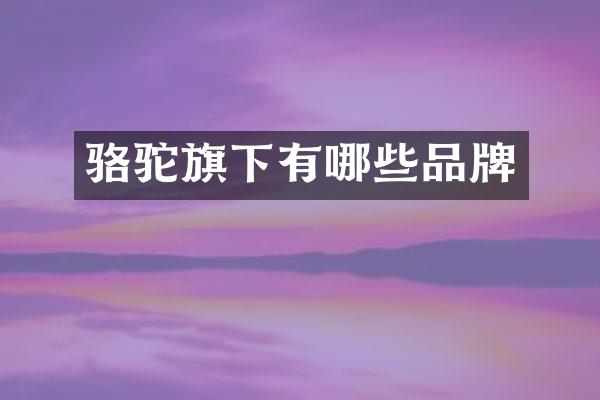 骆驼旗下有哪些品牌