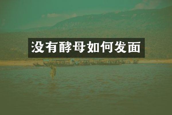 没有酵母如何发面