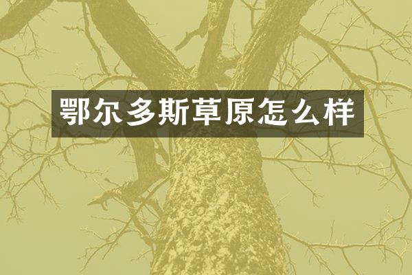 鄂尔多斯草原怎么样