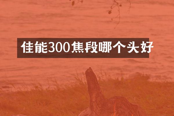 佳能300焦段哪个头好