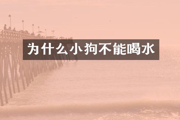 为什么小狗不能喝水