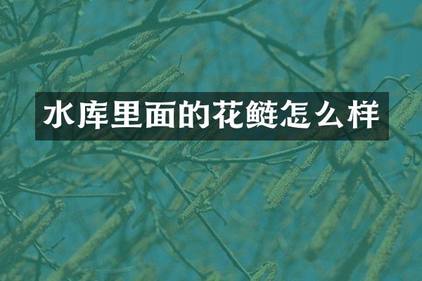 水库里面的花鲢怎么样