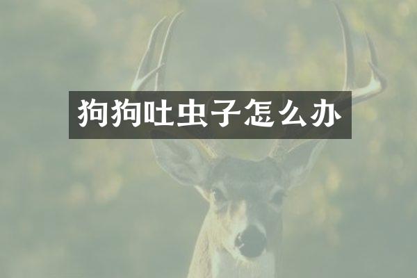 狗狗吐虫子怎么办