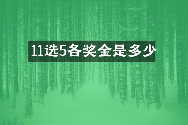 11选5各奖金是多少