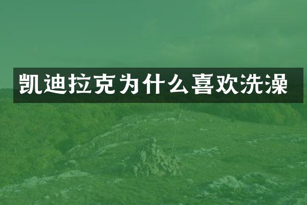 凯迪拉克为什么喜欢洗澡