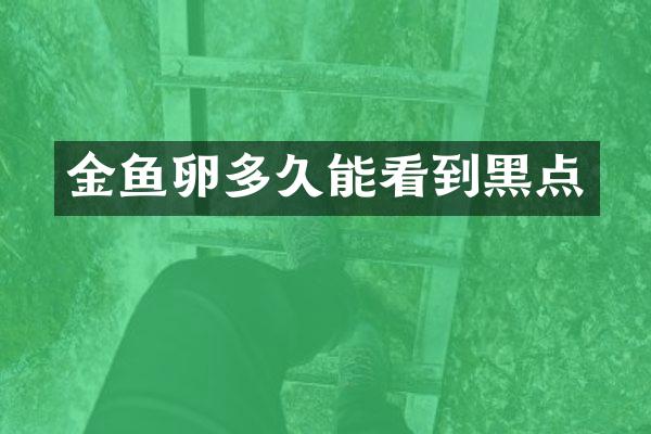 金鱼卵多久能看到黑点