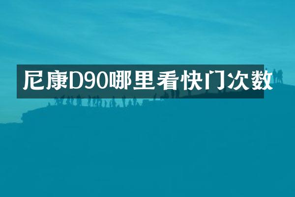 尼康D90哪里看快门次数