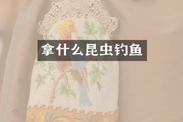 拿什么昆虫钓鱼