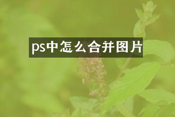 ps中怎么合并图片