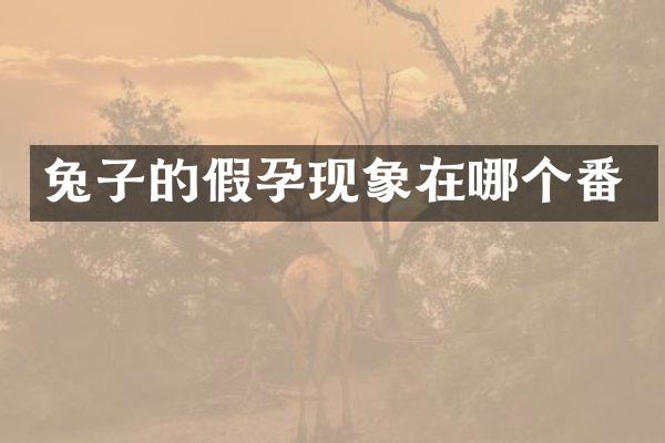 兔子的假孕现象在哪个番