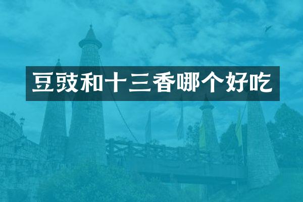 豆豉和十三香哪个好吃