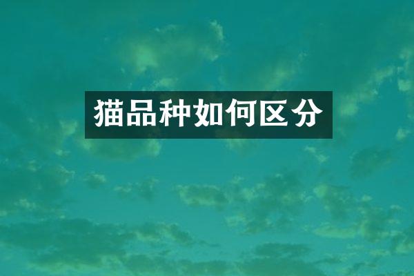 猫品种如何区分