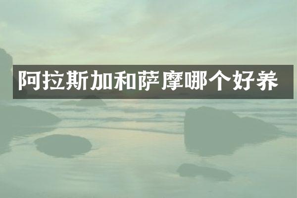 阿拉斯加和萨摩哪个好养