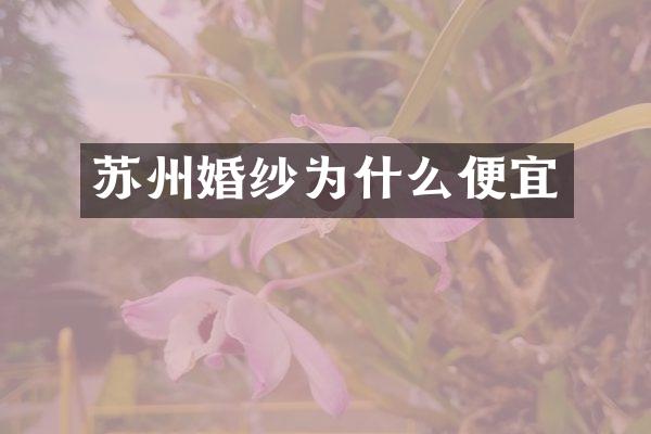 苏州婚纱为什么便宜