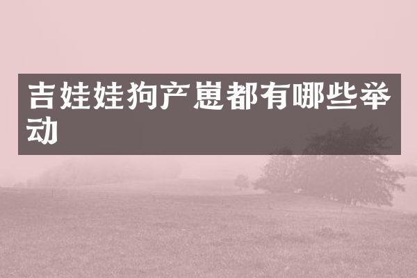 吉娃娃狗产崽都有哪些举动