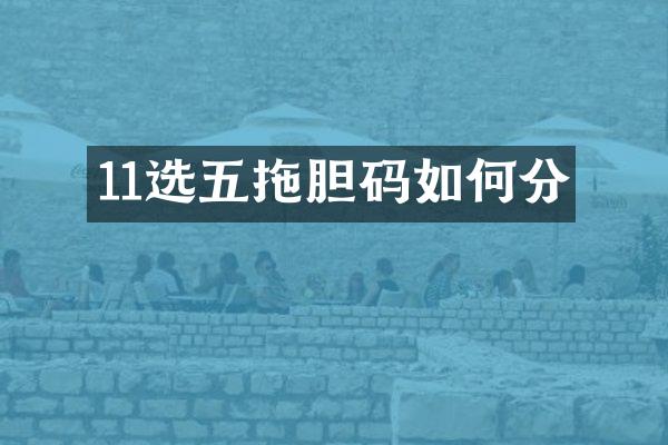 11选五拖胆码如何分