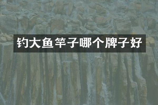 钓大鱼竿子哪个牌子好