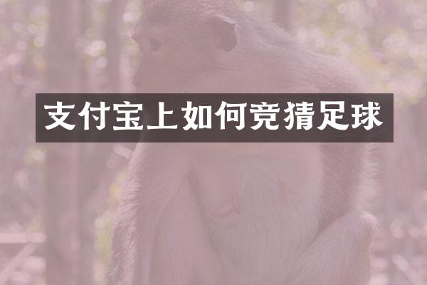 支付宝上如何竞猜足球