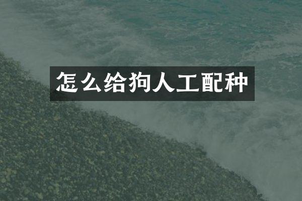 怎么给狗人工配种