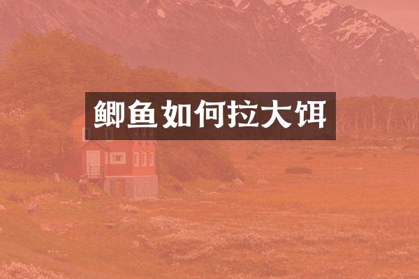 鲫鱼如何拉大饵