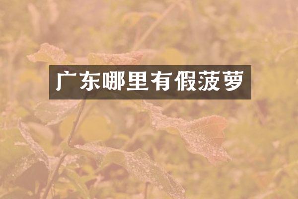 广东哪里有假菠萝