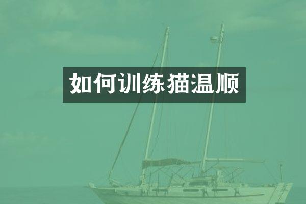 如何训练猫温顺