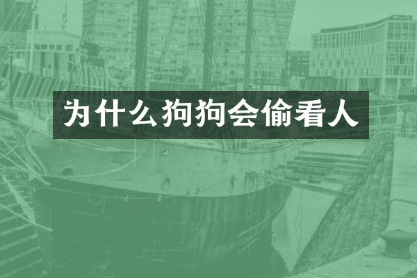 为什么狗狗会偷看人