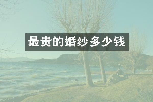 最贵的婚纱多少钱