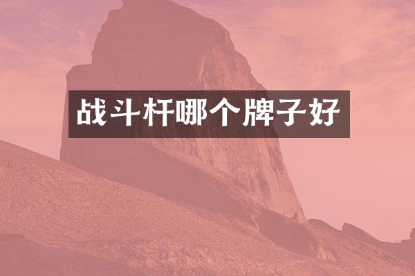 战斗杆哪个牌子好