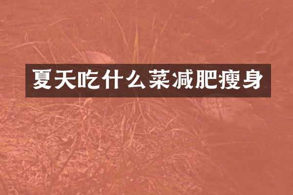 夏天吃什么菜减肥瘦身