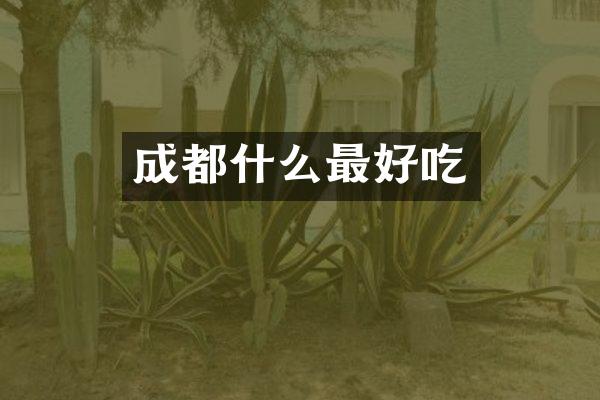 成都什么最好吃