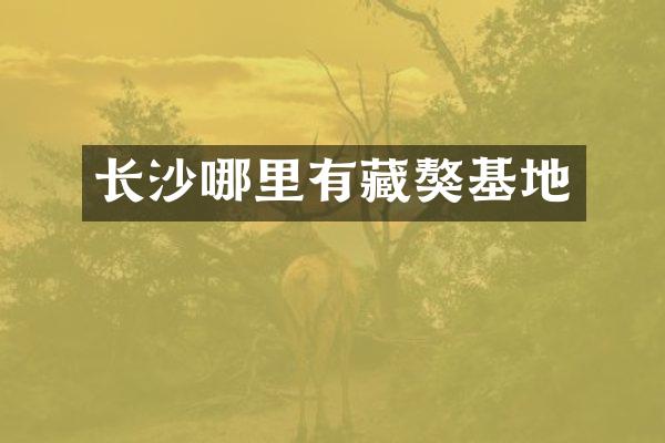 长沙哪里有藏獒基地