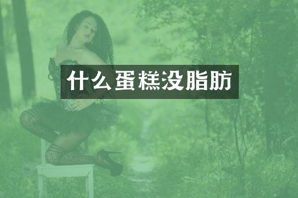 什么蛋糕没脂肪