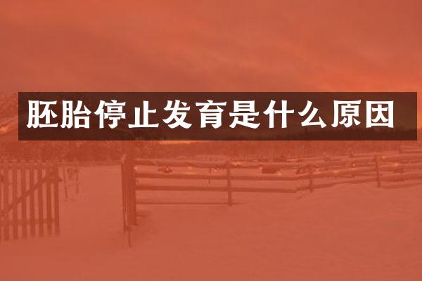 胚胎停止发育是什么原因